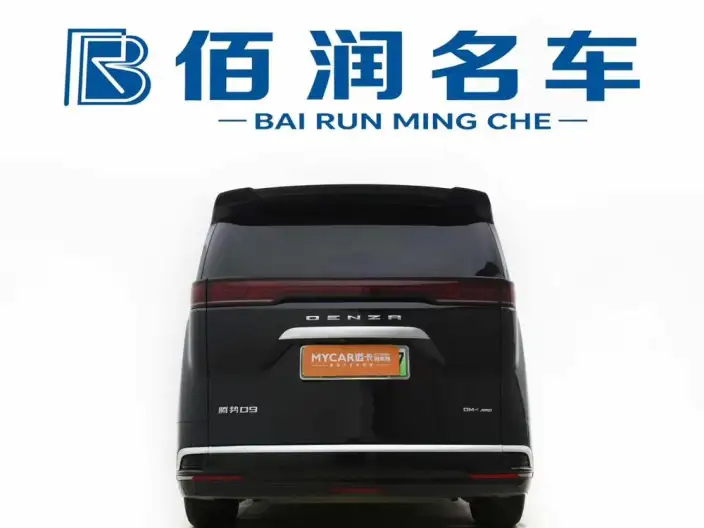 DENZA D9 DM 2024 Model 980 4WD Zunrong Model – фото 4