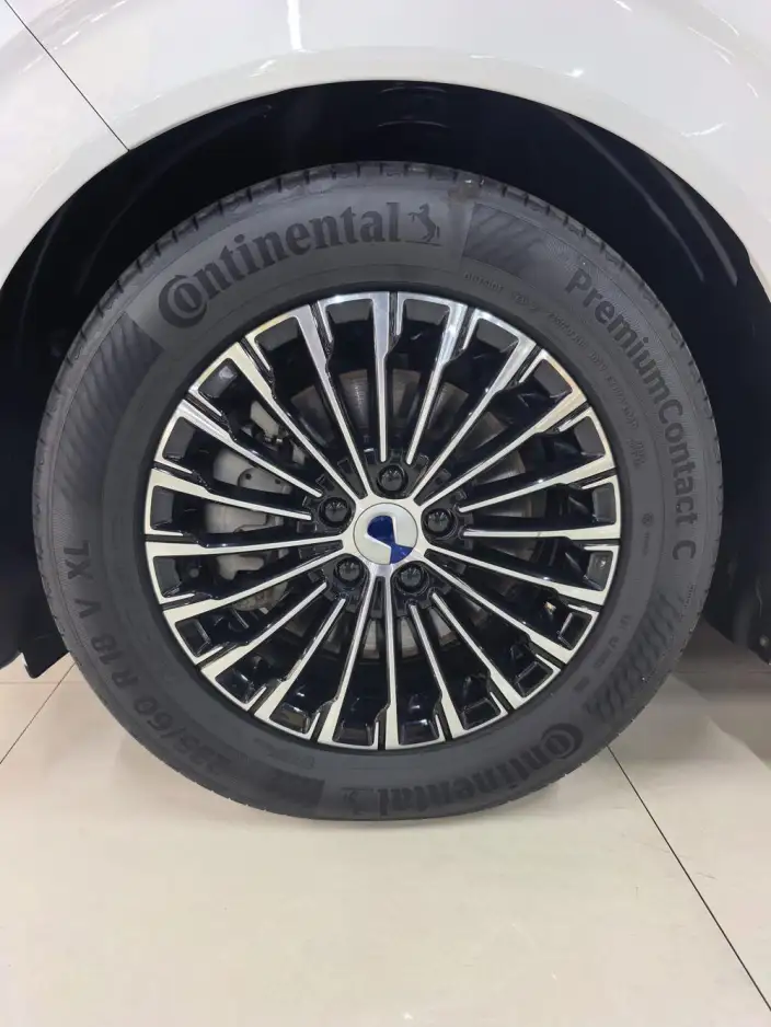 DENZA D9 DM 2022 Model 970 4WD Flagship Model – фото 7
