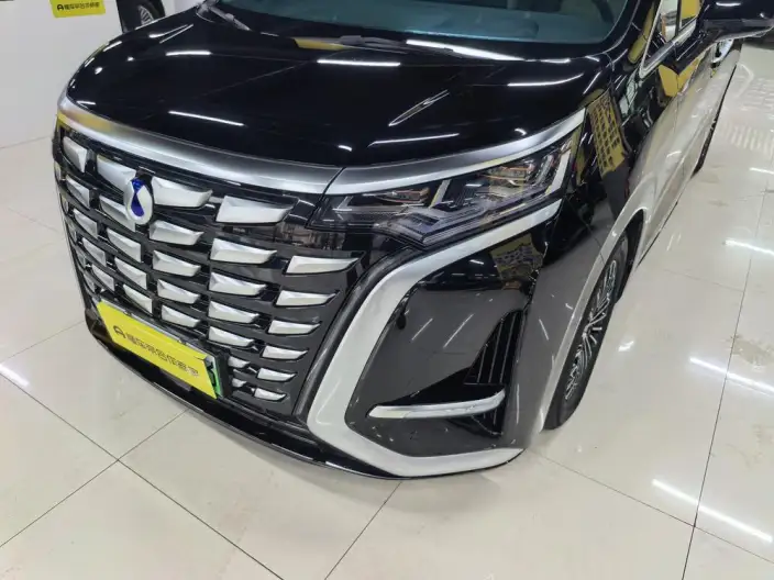 DENZA D9 DM 2022 Model 970 4WD Zunrong Model – фото 7
