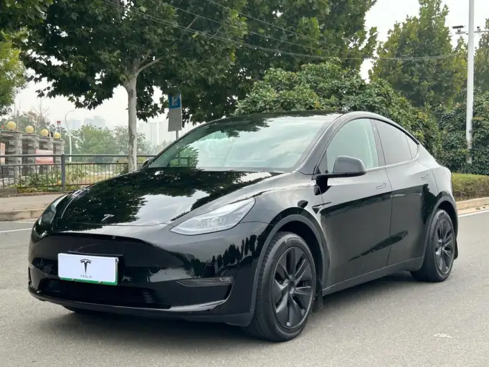 Model Y 2023 Model Long Battery Life Pro All-wheel drive version – фото 1
