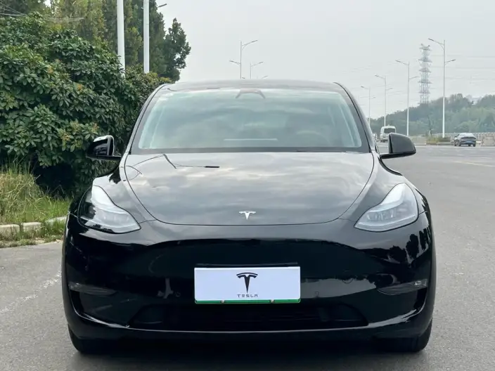 Model Y 2023 Model Long Battery Life Pro All-wheel drive version – фото 2