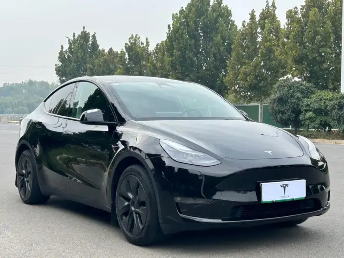 Model Y 2023 Model Long Battery Life Pro All-wheel drive version – фото 3