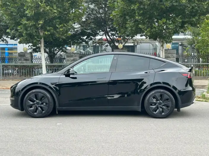 Model Y 2023 Model Long Battery Life Pro All-wheel drive version – фото 4