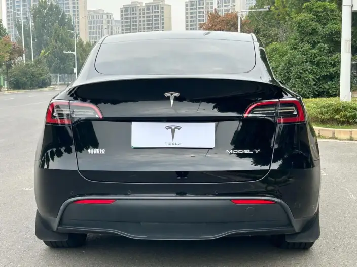 Model Y 2023 Model Long Battery Life Pro All-wheel drive version – фото 6