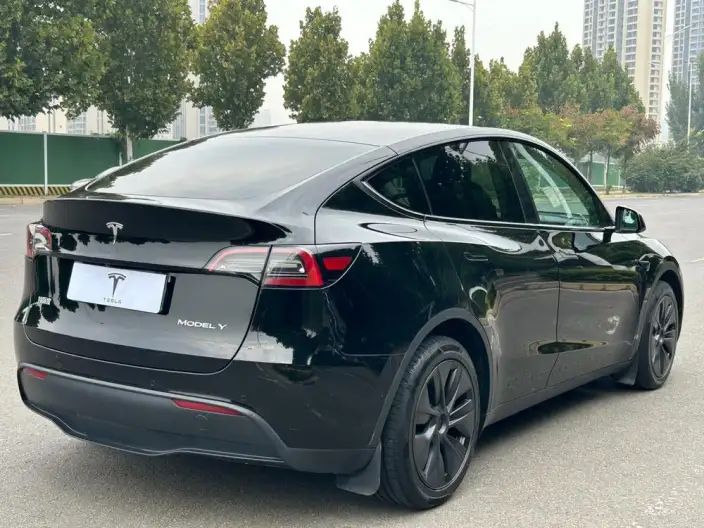 Model Y 2023 Model Long Battery Life Pro All-wheel drive version – фото 7