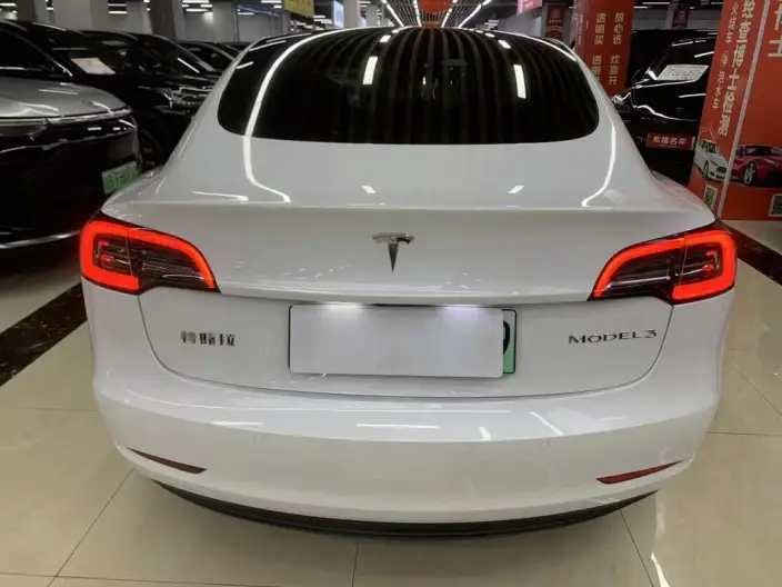 Model 3 2022 Model Rear-wheel drive version – фото 5