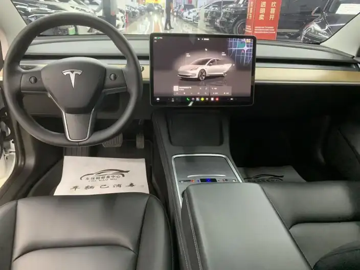 Model 3 2022 Model Rear-wheel drive version – фото 7