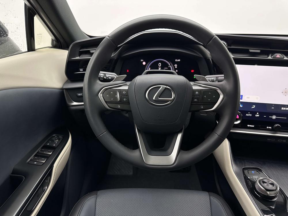 Lexus RZ 2023 450e DIRECT4 Premium – фото 21