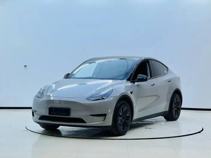 Model Y 2023 Model Rear-wheel drive version – фото 1