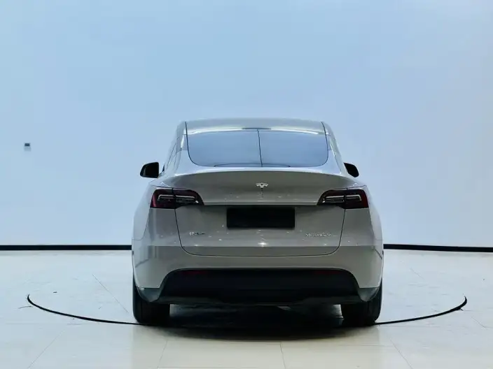 Model Y 2023 Model Rear-wheel drive version – фото 5