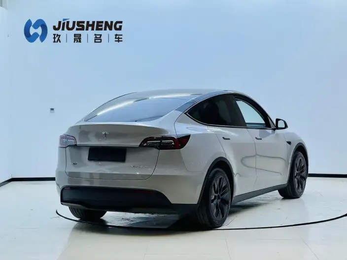 Model Y 2023 Model Rear-wheel drive version – фото 6