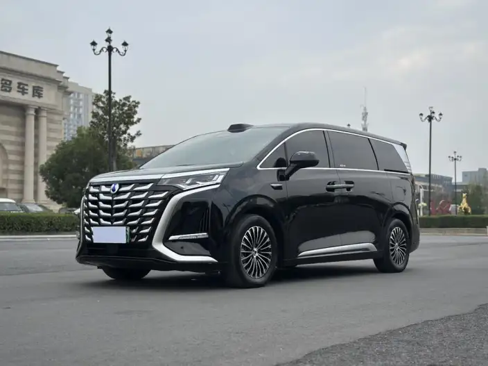 DENZA D9 DM 2025 Model Smart Driving Edition 1020 4WD Exclusive Model – фото 1