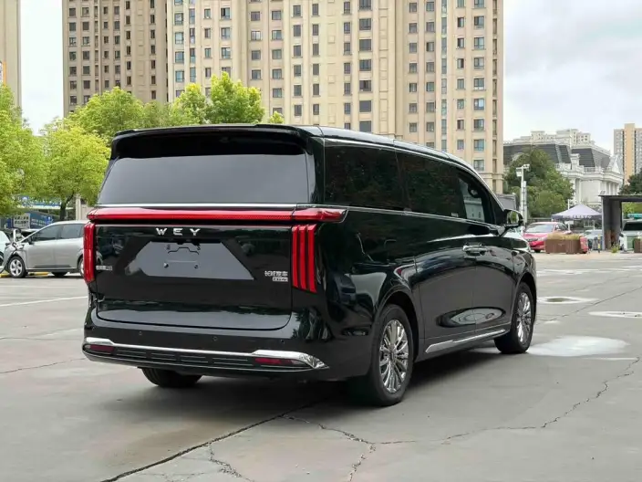 Wey Gaoshan P HEV 2025 Model 4WD Wey Gaoshan 8 – фото 5