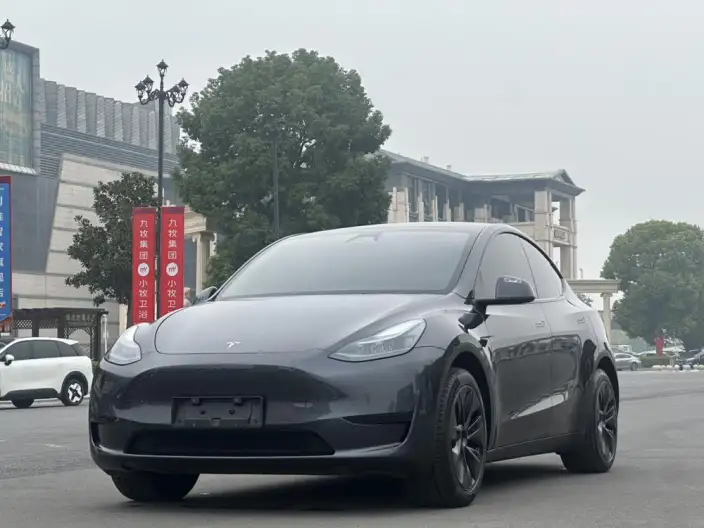 Model Y 2024 Model Rear-wheel drive version – фото 1