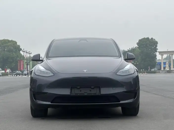 Model Y 2024 Model Rear-wheel drive version – фото 2