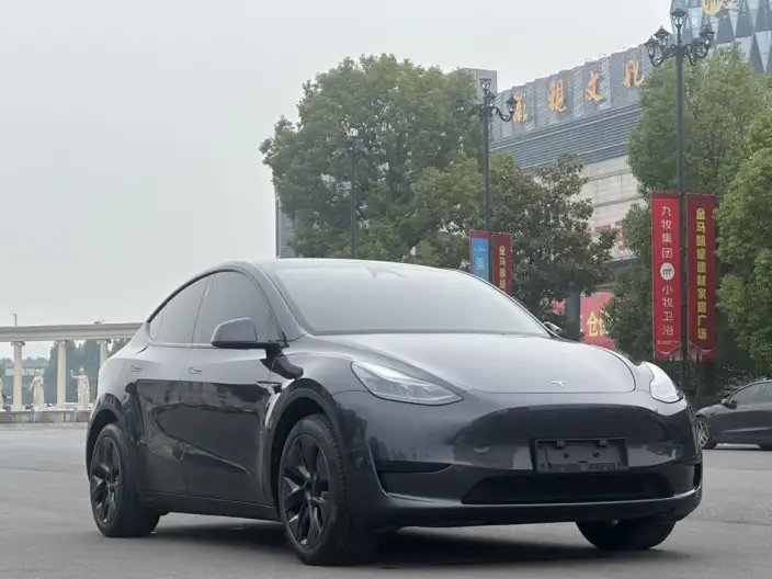 Model Y 2024 Model Rear-wheel drive version – фото 3