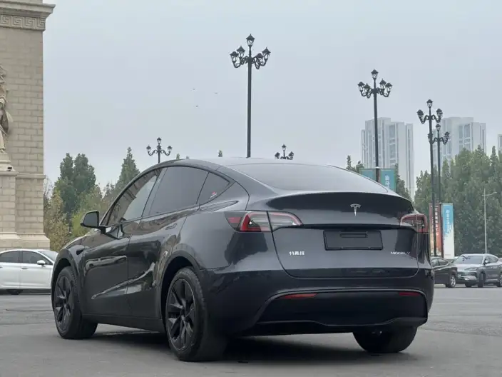 Model Y 2024 Model Rear-wheel drive version – фото 4