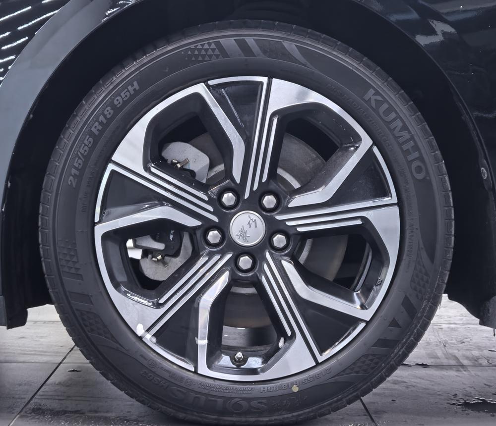 Hongqi E-QM5 2023 Basic Traveler Edition – фото 10