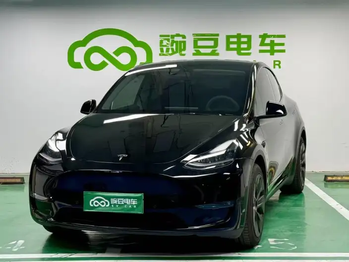 Model Y 2022 Model Long Battery Life Pro All-wheel drive version – фото 1