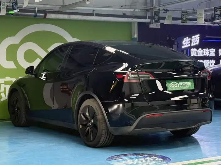 Model Y 2022 Model Long Battery Life Pro All-wheel drive version – фото 5