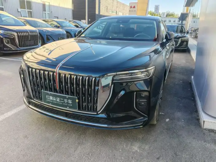 HONGQI H9 2024 Model 3.0T Flag Ling 4WD Luxury Business Edition – фото 1