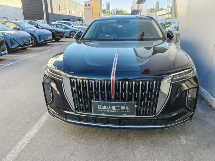 HONGQI H9 2024 Model 3.0T Flag Ling 4WD Luxury Business Edition – фото 2