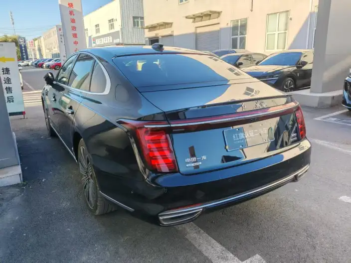 HONGQI H9 2024 Model 3.0T Flag Ling 4WD Luxury Business Edition – фото 4