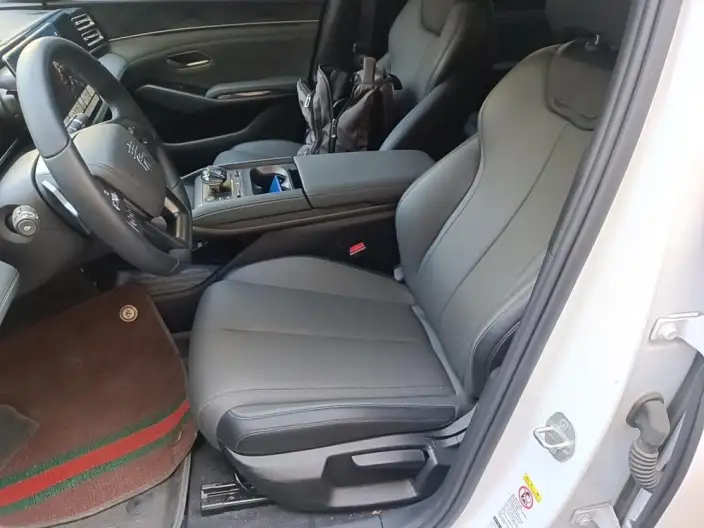 QinL DM 2025 Model Smart Driving Edition DM-i 80KM Leading Model – фото 10