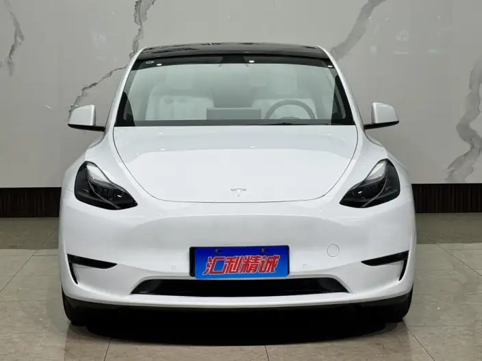 Model Y 2023 Model Long Battery Life Pro All-wheel drive version – фото 2