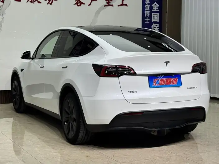 Model Y 2023 Model Long Battery Life Pro All-wheel drive version – фото 4