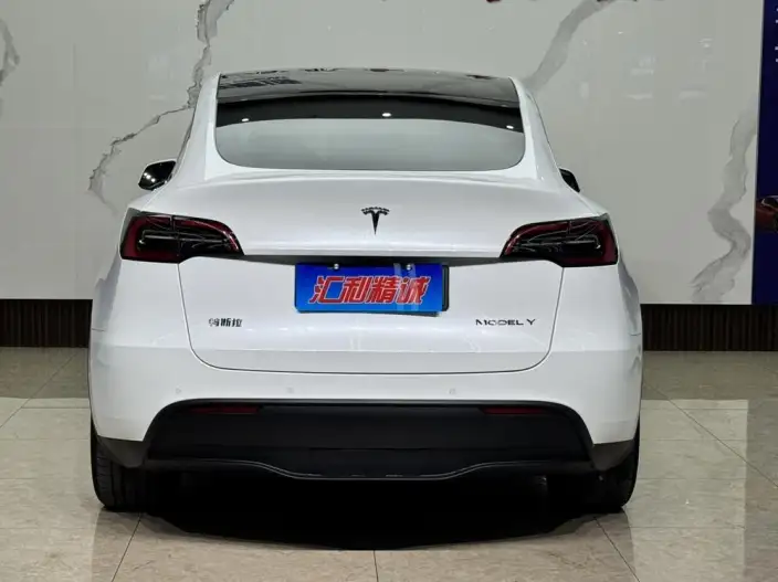 Model Y 2023 Model Long Battery Life Pro All-wheel drive version – фото 5