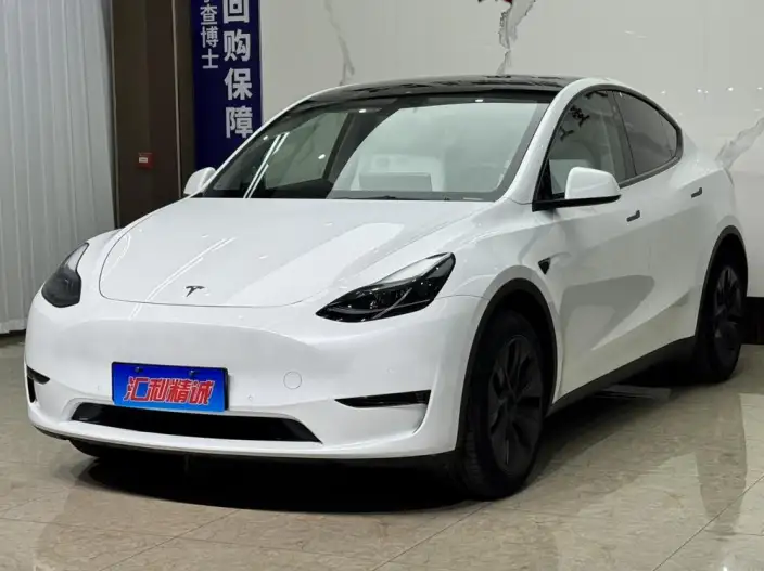 Model Y 2023 Model Long Battery Life Pro All-wheel drive version – фото 7