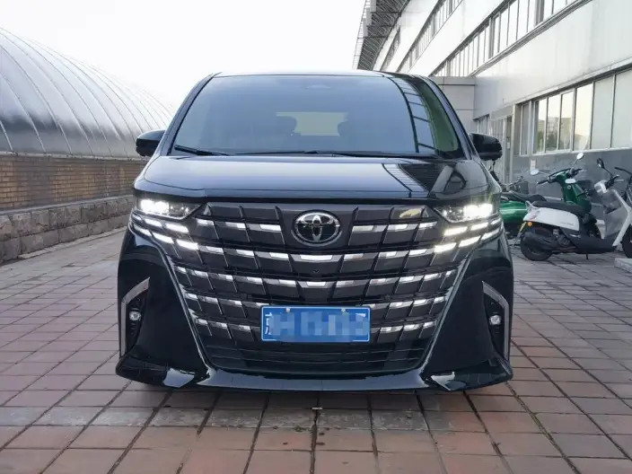 Elfa 2025 Model 2.5L Intelligent Hybrid 4WD Zhen Xiang Gold Edition – фото 2