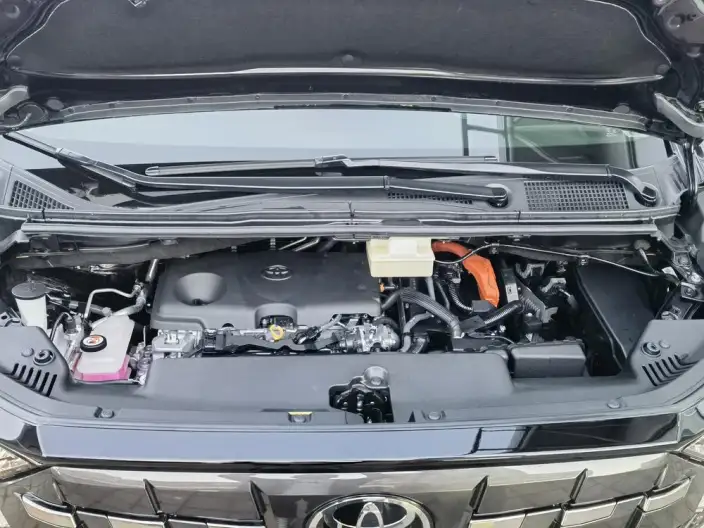 Elfa 2025 Model 2.5L Intelligent Hybrid 4WD Zhen Xiang Gold Edition – фото 7