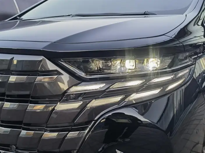 Elfa 2025 Model 2.5L Intelligent Hybrid 4WD Zhen Xiang Gold Edition – фото 8