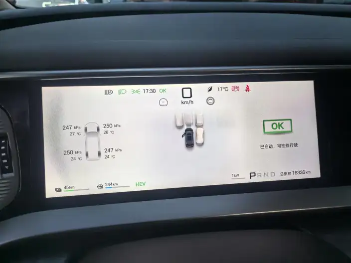 DENZA D9 DM 2025 Model Smart Driving Edition 1020 4WD Exclusive Model – фото 9