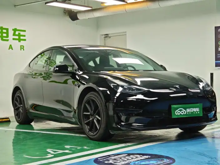 Model 3 2022 Model Rear-wheel drive version – фото 3