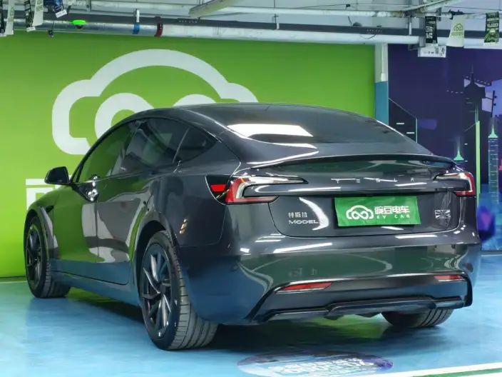 Model 3 2025 Model High performance All-wheel drive version – фото 5