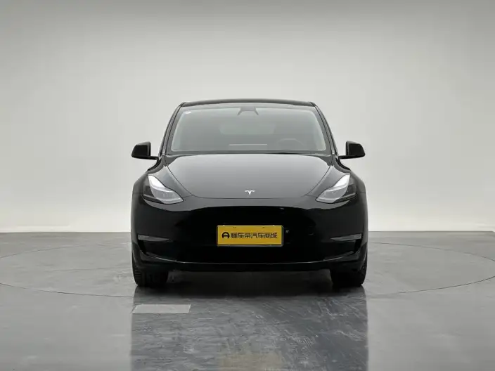 Model Y 2022 Model Facelift Long Battery Life Pro All-wheel drive version – фото 2