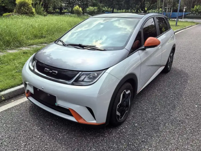 BYD Dolphin 2021 Model Fashion Edition – фото 1