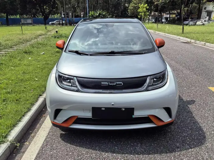 BYD Dolphin 2021 Model Fashion Edition – фото 2