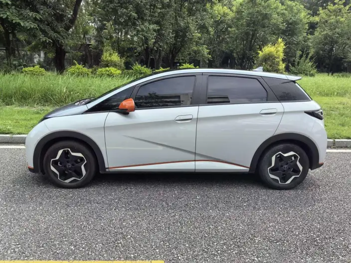 BYD Dolphin 2021 Model Fashion Edition – фото 3
