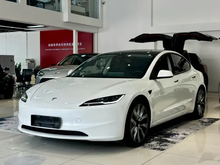 Model 3 2023 Model Long Battery Life Pro All-wheel drive version – фото 1