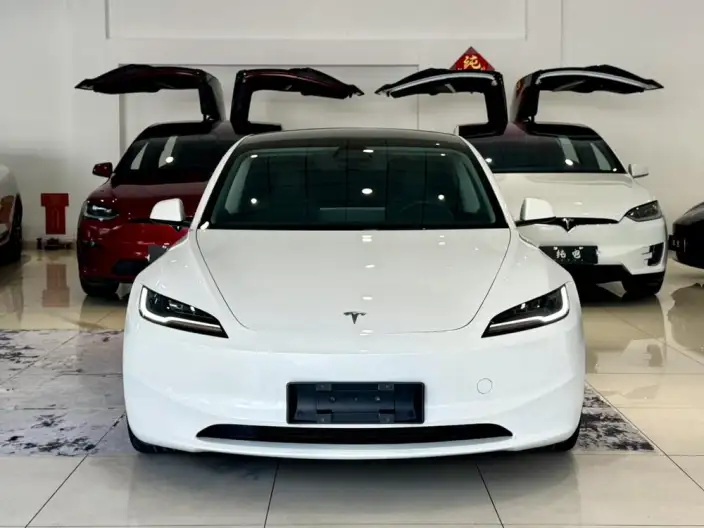 Model 3 2023 Model Long Battery Life Pro All-wheel drive version – фото 2