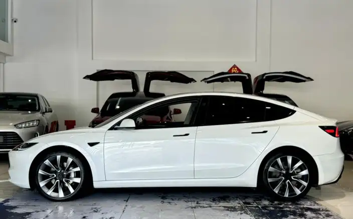 Model 3 2023 Model Long Battery Life Pro All-wheel drive version – фото 4
