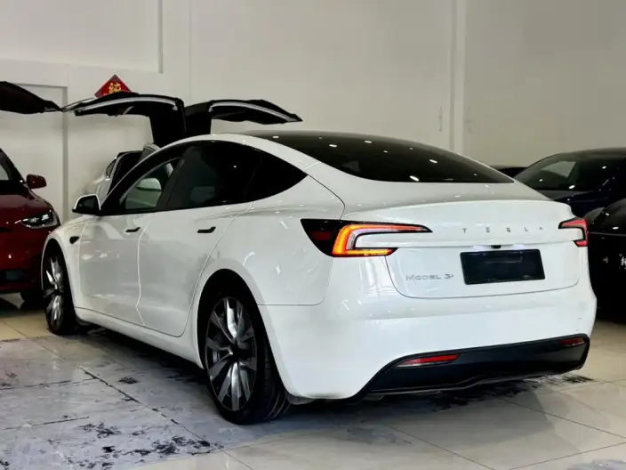 Model 3 2023 Model Long Battery Life Pro All-wheel drive version – фото 5