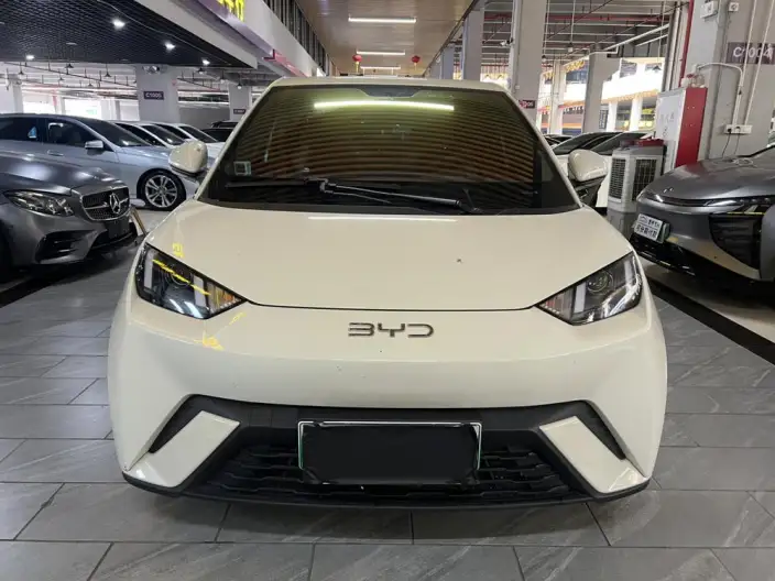 BYD Seagull 2025 Model 305KM Vitality Edition – фото 2