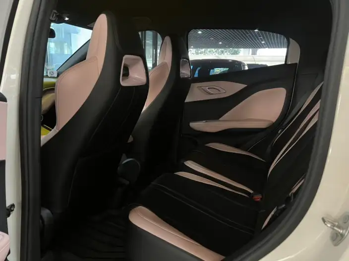 BYD Seagull 2025 Model 305KM Vitality Edition – фото 9