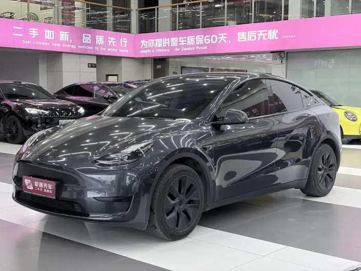 Model Y 2024 Model Rear-wheel drive version – фото 1