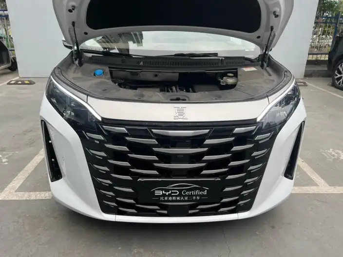 Xia 2025 Model DM-i 180KM Excellence Model – фото 7